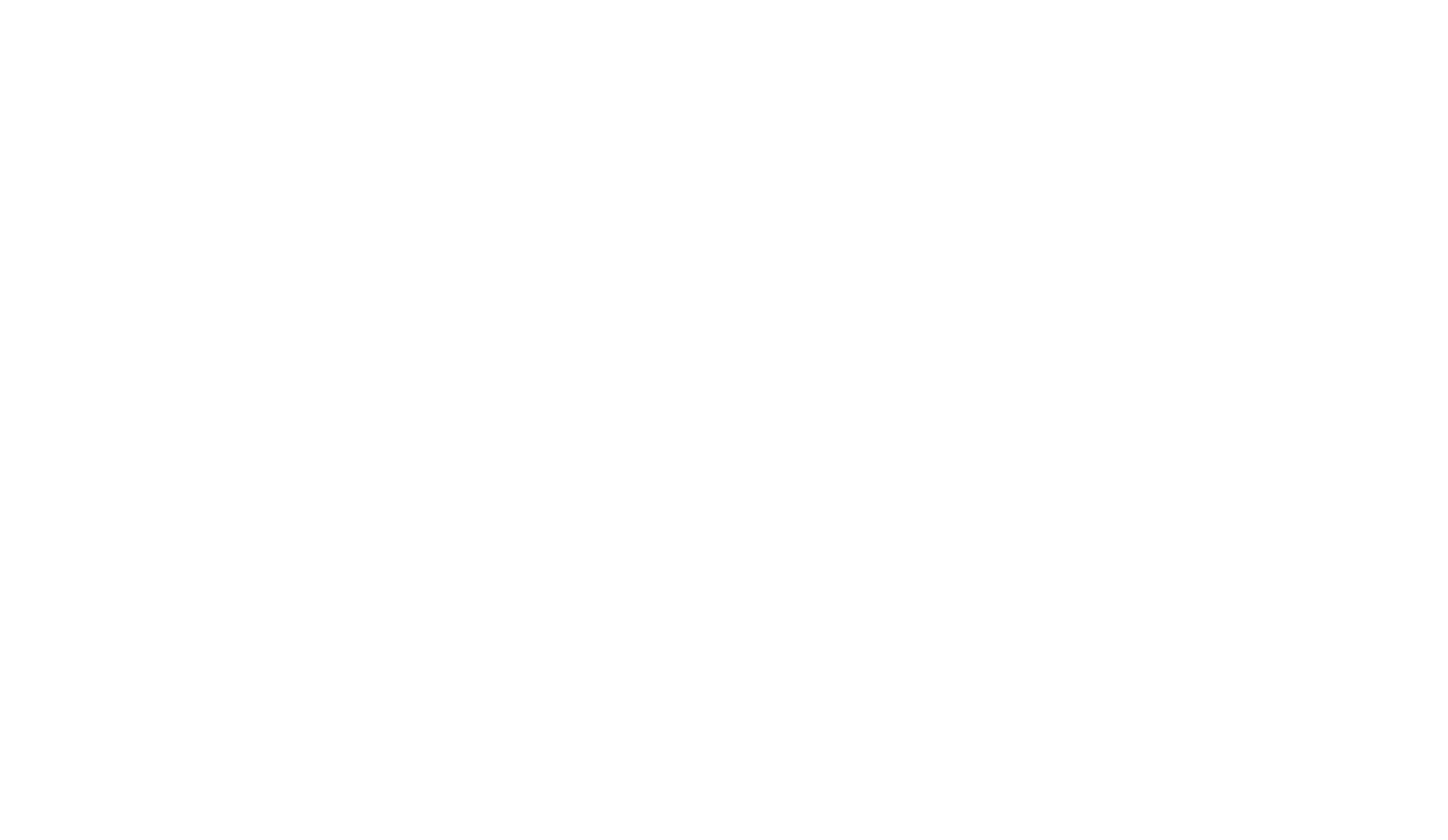 Michiz Foods